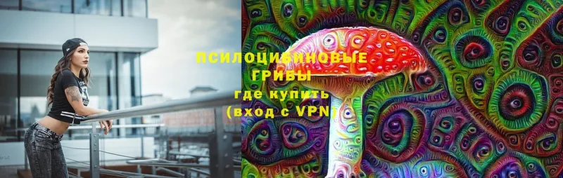 Псилоцибиновые грибы Magic Shrooms  Болгар 